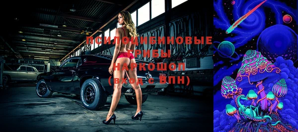 ГАЛЛЮЦИНОГЕННЫЕ ГРИБЫ Богородицк