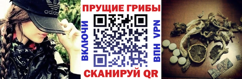 Псилоцибиновые грибы GOLDEN TEACHER  где купить наркотик  omg tor  Олёкминск 