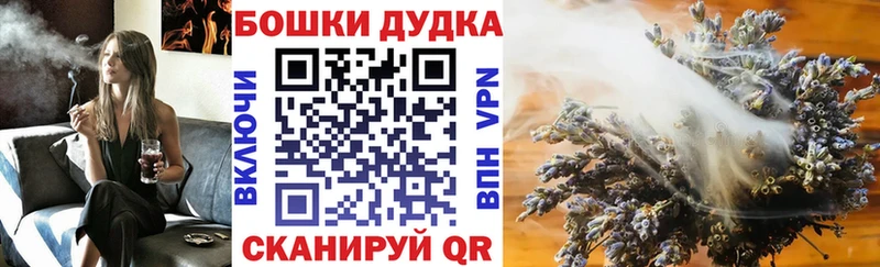 Шишки марихуана планчик Олёкминск